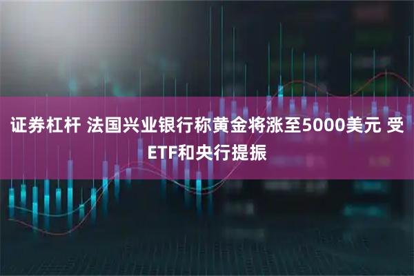 证券杠杆 法国兴业银行称黄金将涨至5000美元 受ETF和央行提振